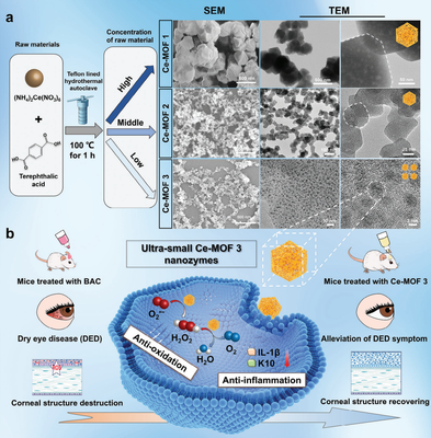 干眼治療新路徑!復(fù)旦團隊研發(fā)納米酶"刷"掉過量眼表活性氧
