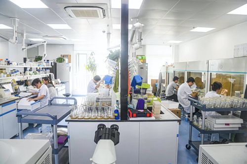 觀海新聞?dòng)浾咴厝沼?8 我們獲獎(jiǎng)了