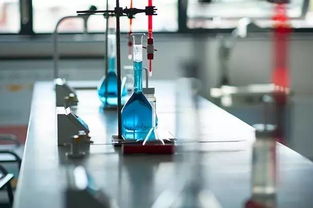 為什么科學(xué)家要做 沒(méi)用 的研究