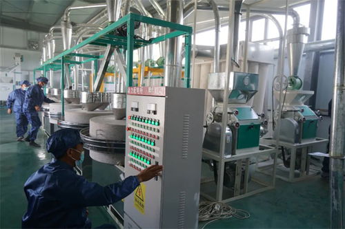 長子縣西王坡東村 傳統(tǒng)工藝 磨 出鄉(xiāng)村振興致富路