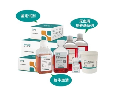 依科賽:聚焦胎牛血清、無血清培養基和鑒定試劑國產化和國際化